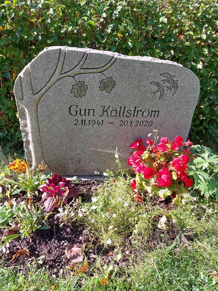 Hautatunnus: 1 L   025