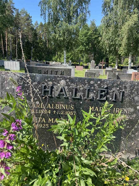 Hautatunnus: N 5 2   172