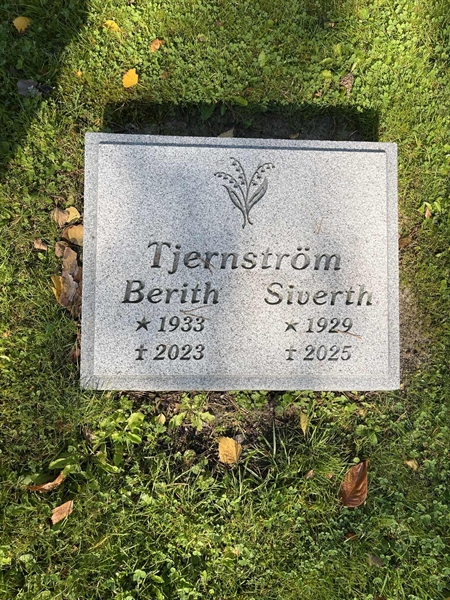 Grave number: 30ST TALL   104
