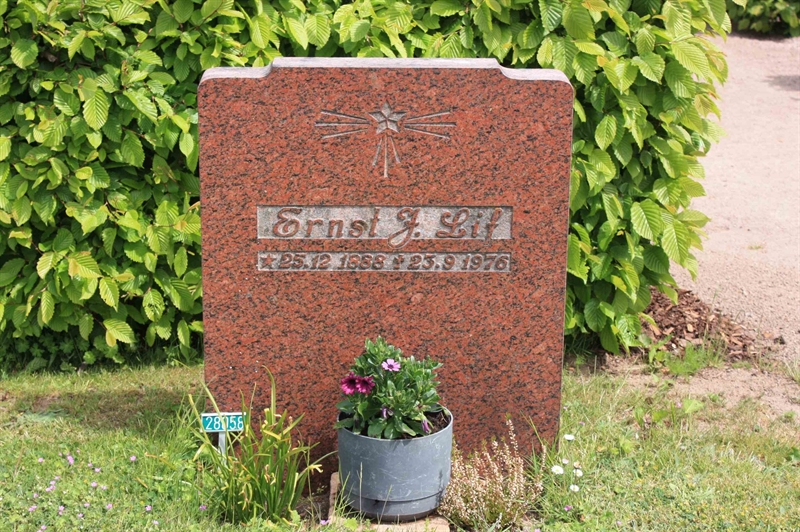 Grave number: Ö 28    81