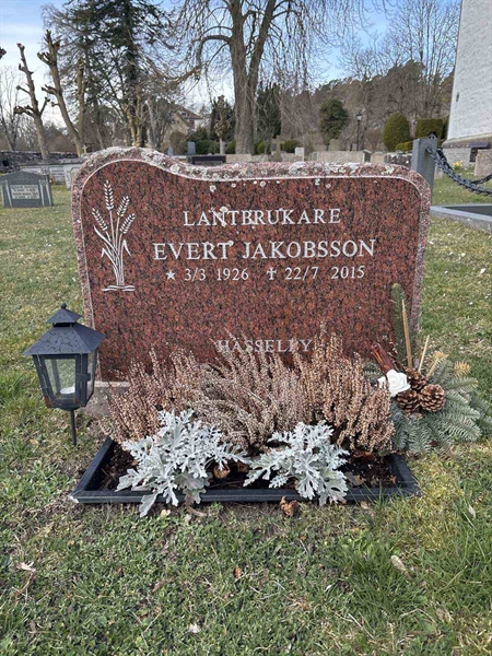 Gravnummer: LI   186