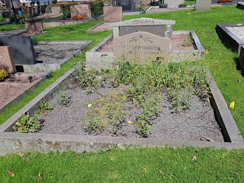 Grave number: 06 61038