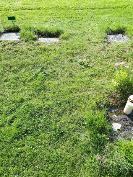 Gravnummer: NK A A   185