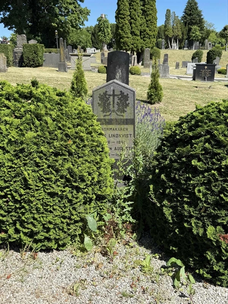 Grave number: TR 3 1     4