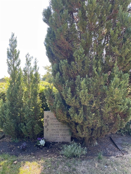 Grave number: NK XI    75