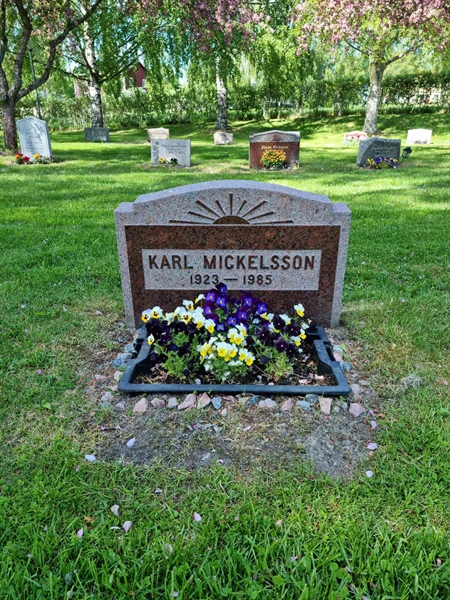 Grave number: D N 4  1095