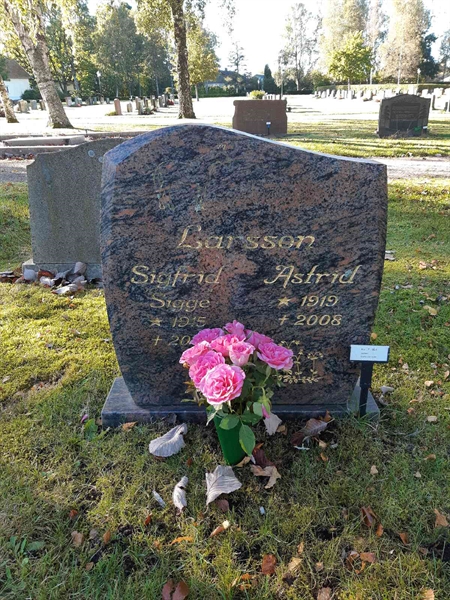 Hautatunnus: Fr 7   951