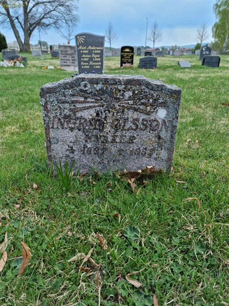 Grave number: D G 3   564a