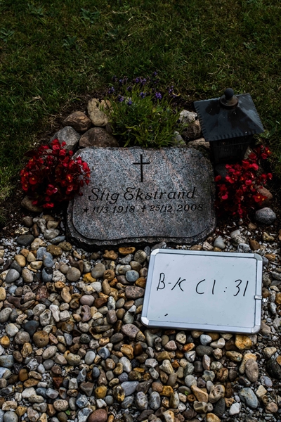 Hautatunnus: Bkl I C 31
