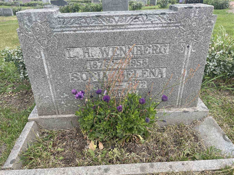 Grave number: 001 1   340