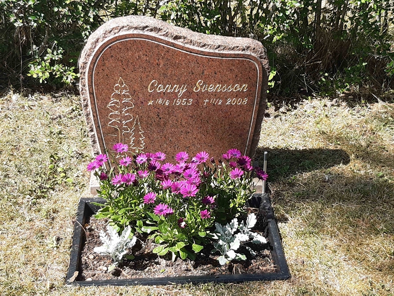 Grave number: VI 05   921