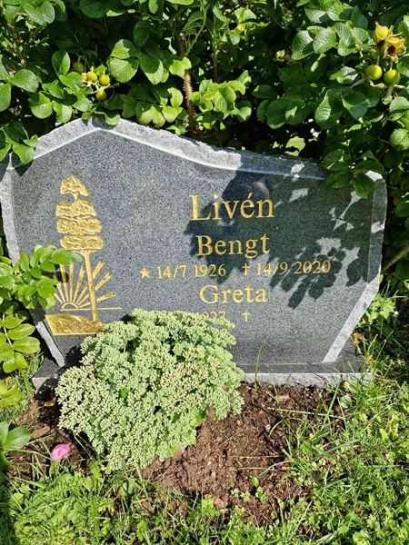 Grave number: 1 18    70