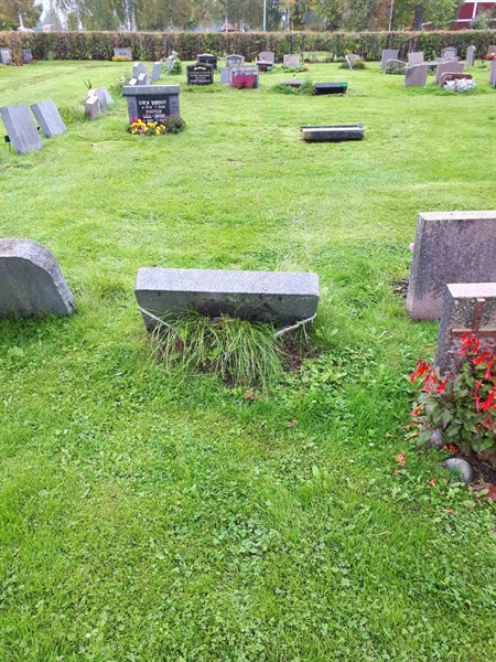 Hautatunnus: NK F B  1042