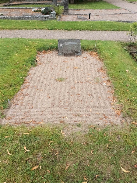 Grave number: SÖ 06   113
