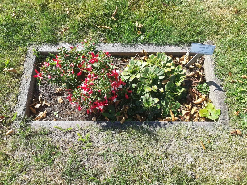 Grave number: Fr 1 686-687