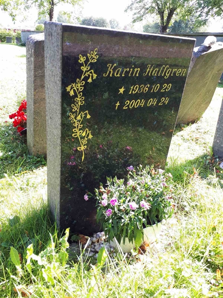 Hautatunnus: GK U 4   256