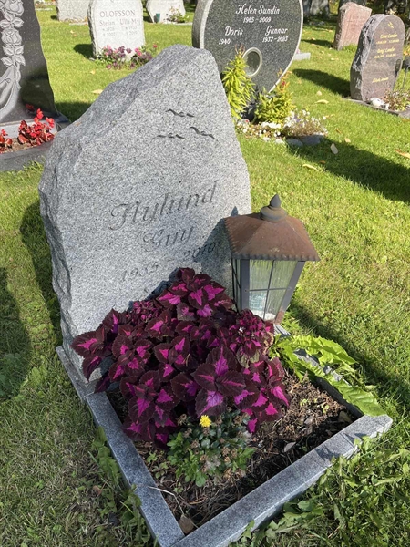 Grave number: 30ST TALL    60