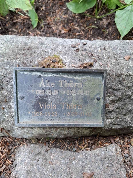 Grave number: S Ask B     6