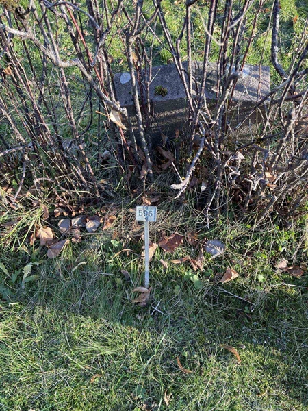 Gravnummer: GK A 3   596