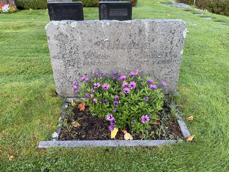 Grave number: 4 Öv 17    93-95