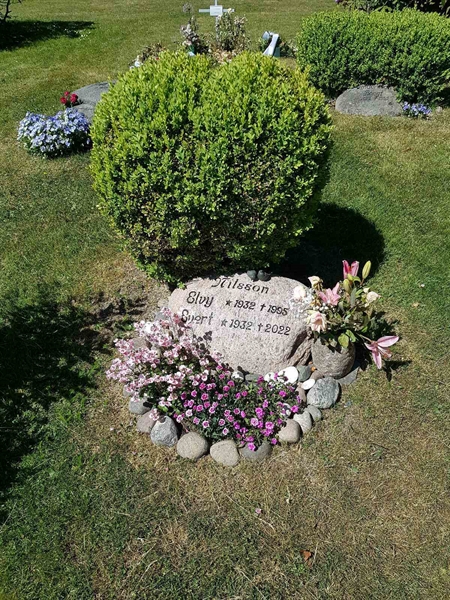 Grave number: 01  6556