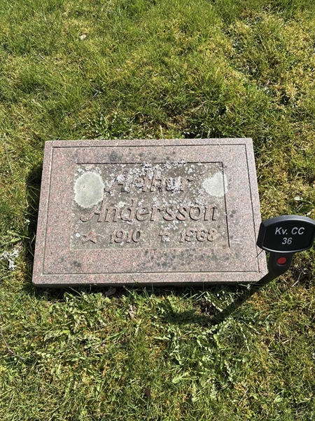 Gravnummer: 22 CC    36