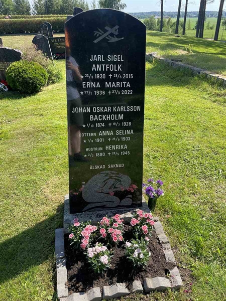 Gravnummer: N 5 1   118