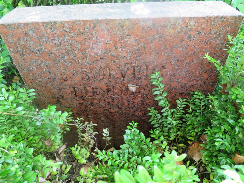 Grave number: HÖB 68   137