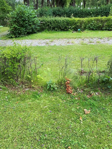 Hautatunnus: GK F 5   592