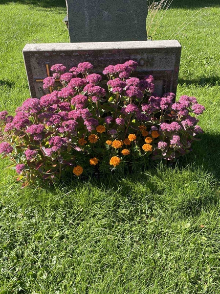 Grave number: 2 29   137-138