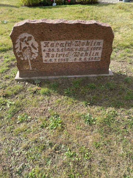 Grave number: 20 N    39-40