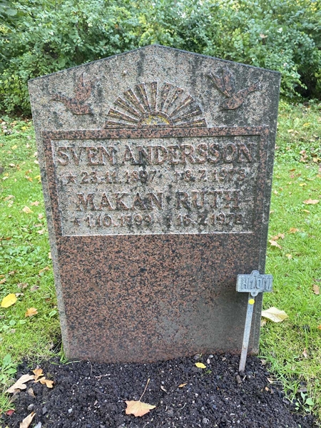 Hautatunnus: 1 H   101