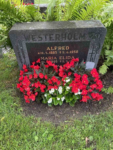 Grave number: N 4 4   495