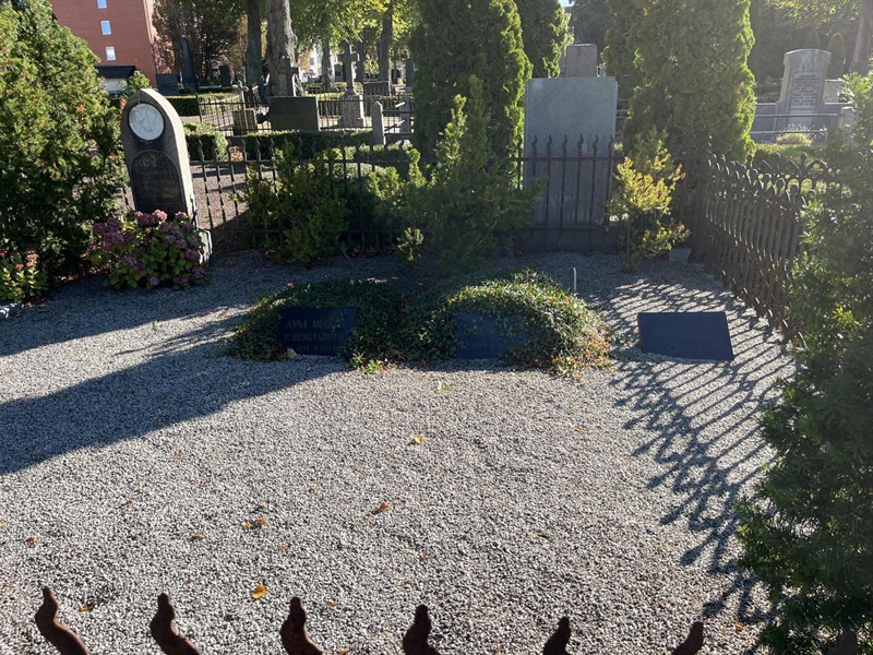 Grave number: VK II    36b