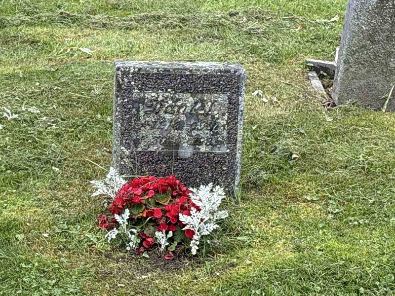Hautatunnus: IN 31    79-80