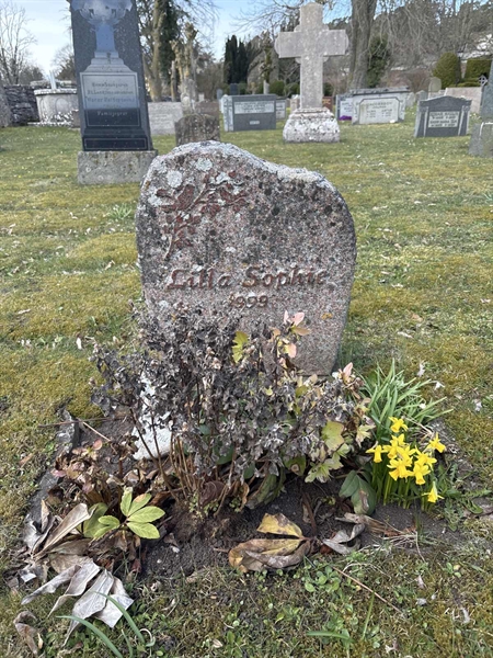 Grave number: LI 181