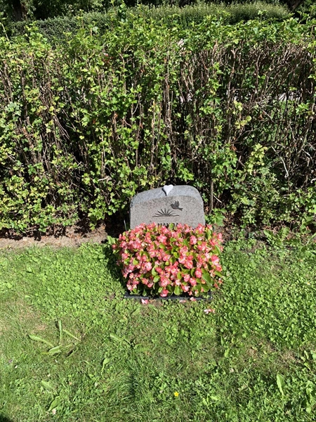 Grave number: 1 ÖK  226-227