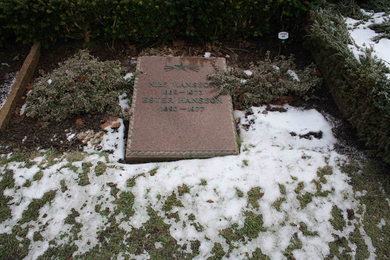 Grave number: 1 n DG3   548