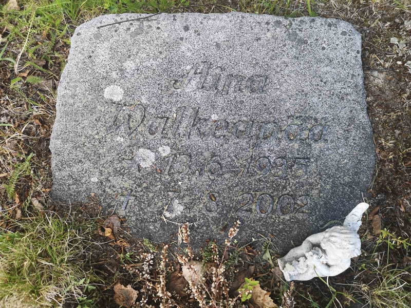 Hautatunnus: PK    10