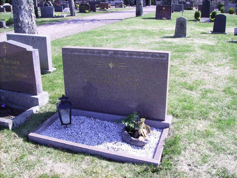 Grave number: LM 3 31  015