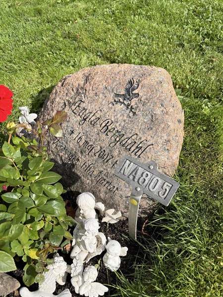 Gravnummer: 1 NA   805