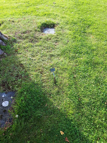 Gravnummer: NK A A   179