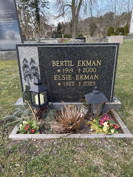 Grave number: LI 184, 185