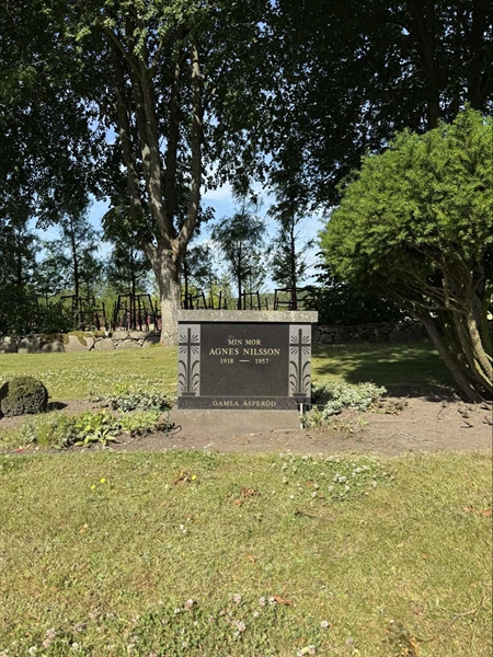 Hautatunnus: TR 1 1 33