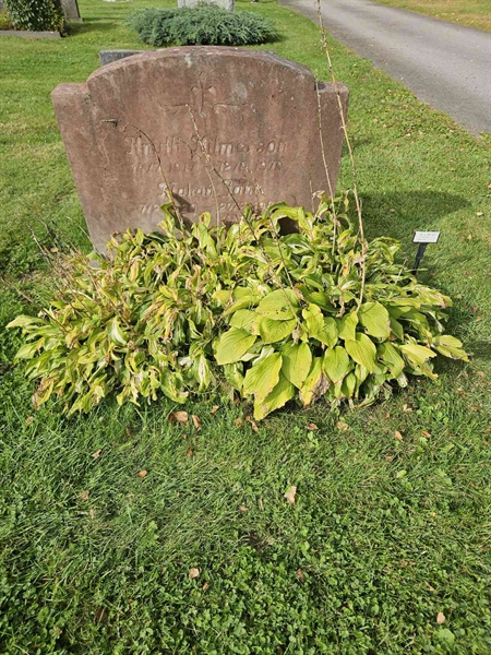 Grave number: Fr 8   480-481