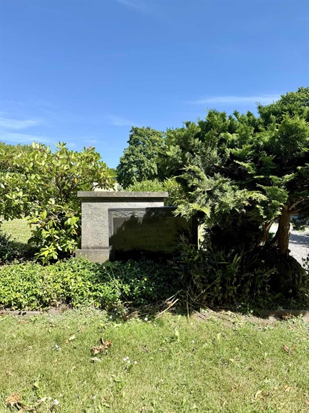 Hautatunnus: TR 1 2 11