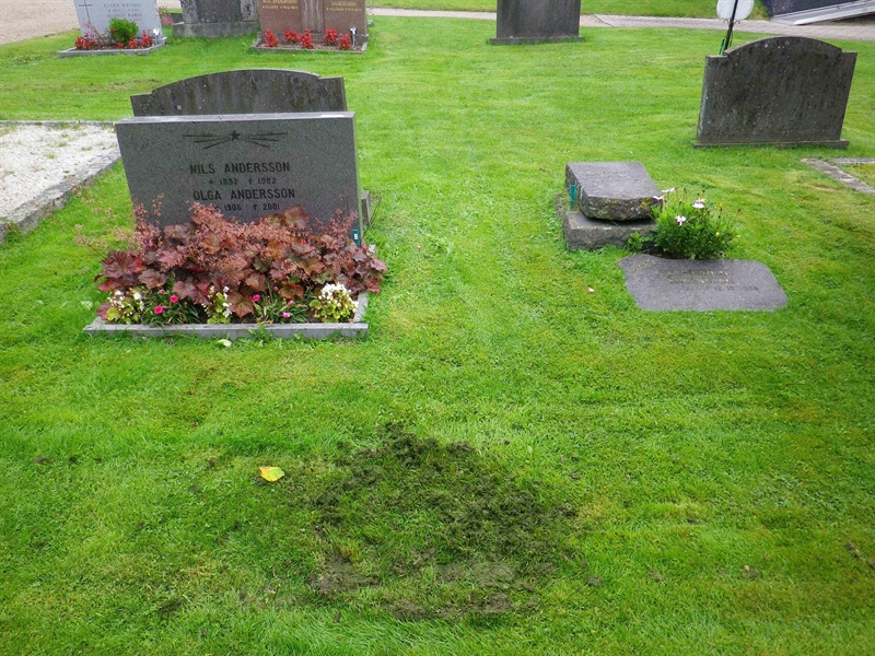 Grave number: VI D    18, 19, 20