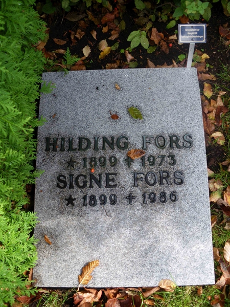 Grave number: HÖB 32    32