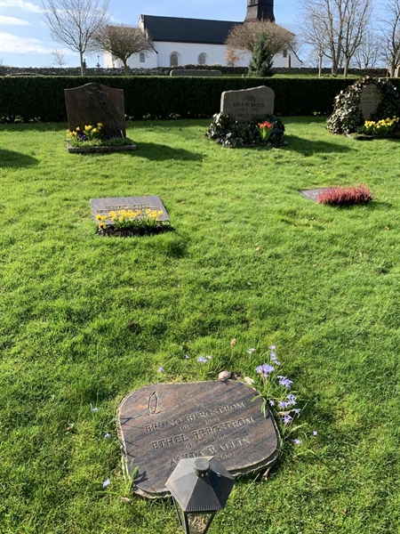 Grave number: SÖ K    87