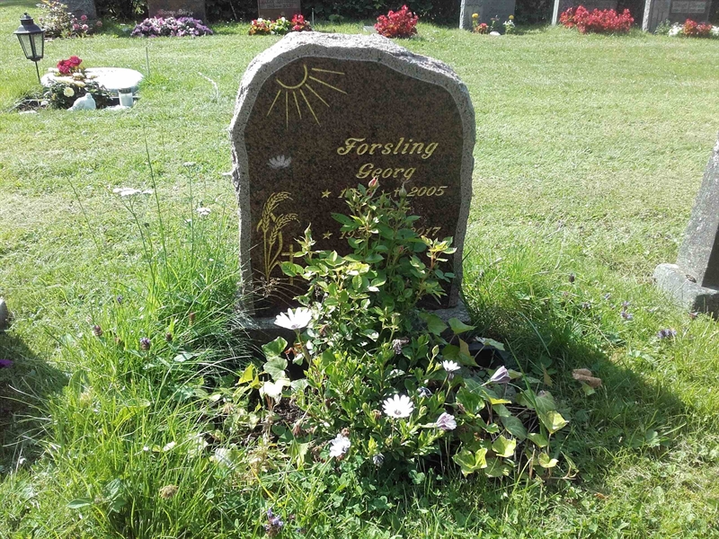 Grave number: NO 14   228